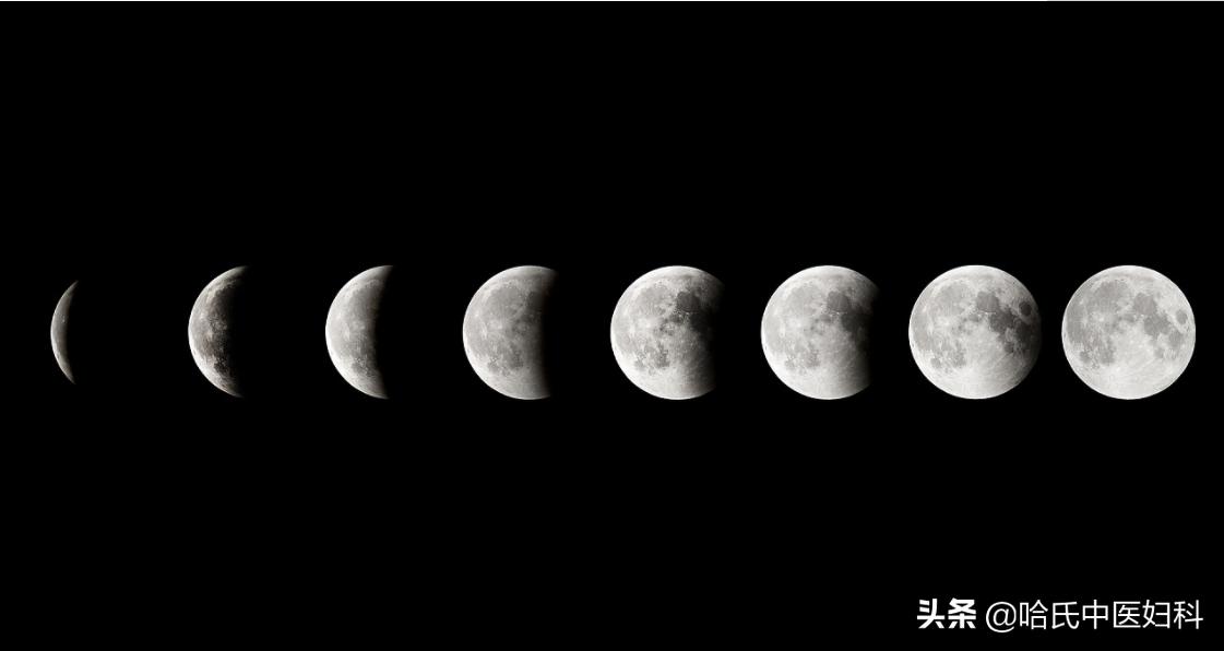 月经不规律，怀孕也会受影响！想要月经规律，试试这些食疗方