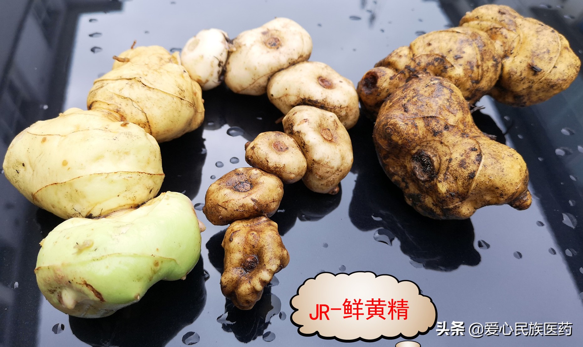 草药黄精的照片,什么草药叫黄精