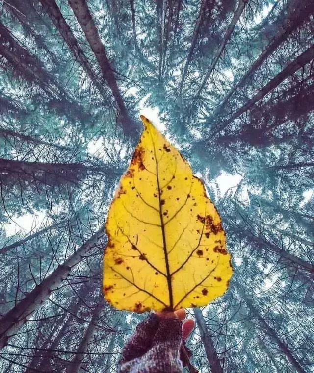 广东真的没有秋天凉吗,广东是没有秋天的吗文案