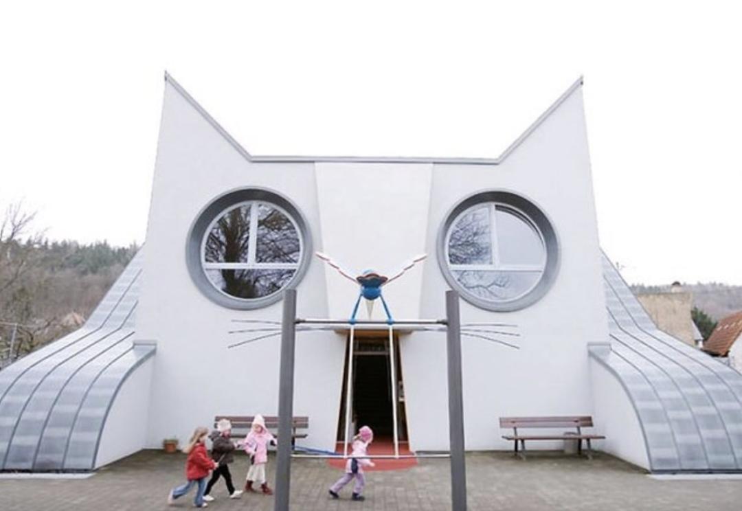 看了就想养的宠物,看了就想抱的宠物