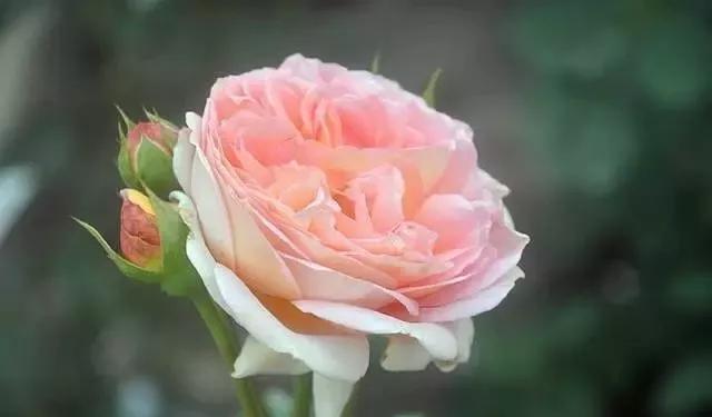 每天学习一点点女性小常识,每天学习一点点科普一下