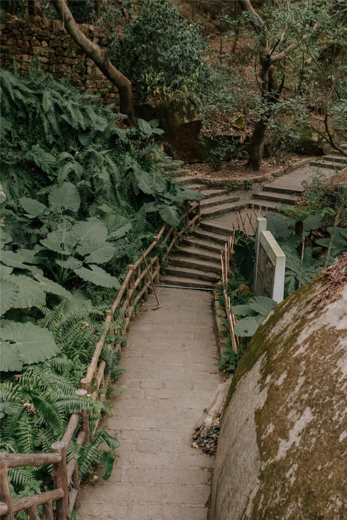 厦门旅游攻略两天两夜详细攻略,厦门旅游攻略一日游详细攻略