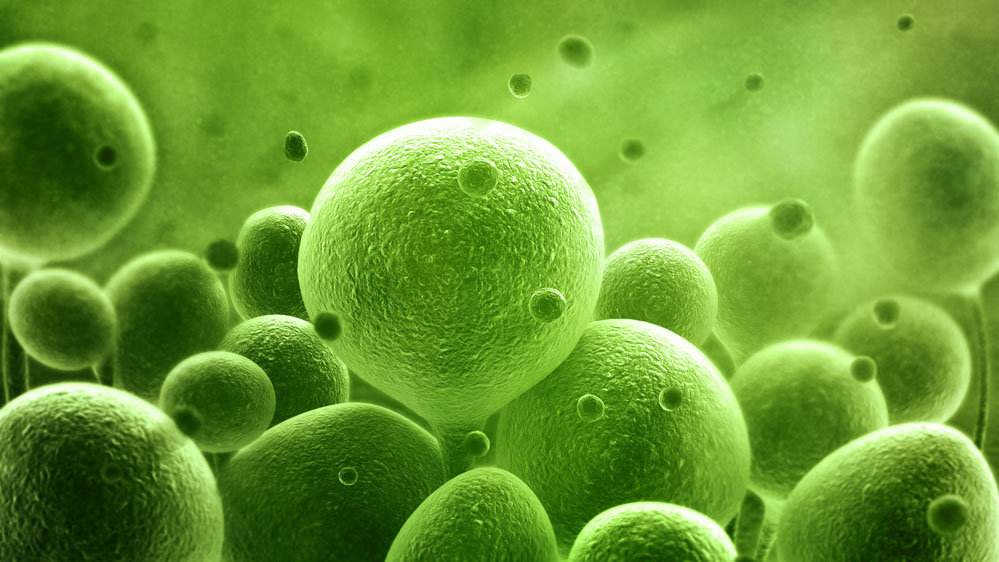 科普：所有监测排卵的方法，阴超是目前为止最准确的方法