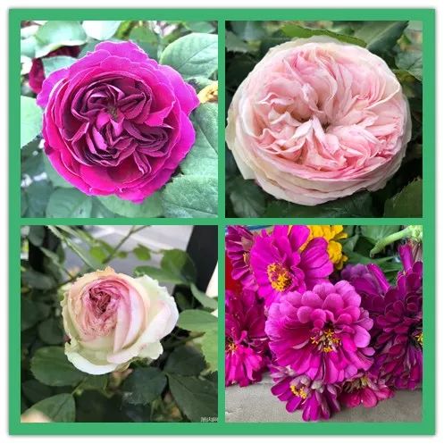 带1600平米花园装修,135个平方一楼带花园装修效果图