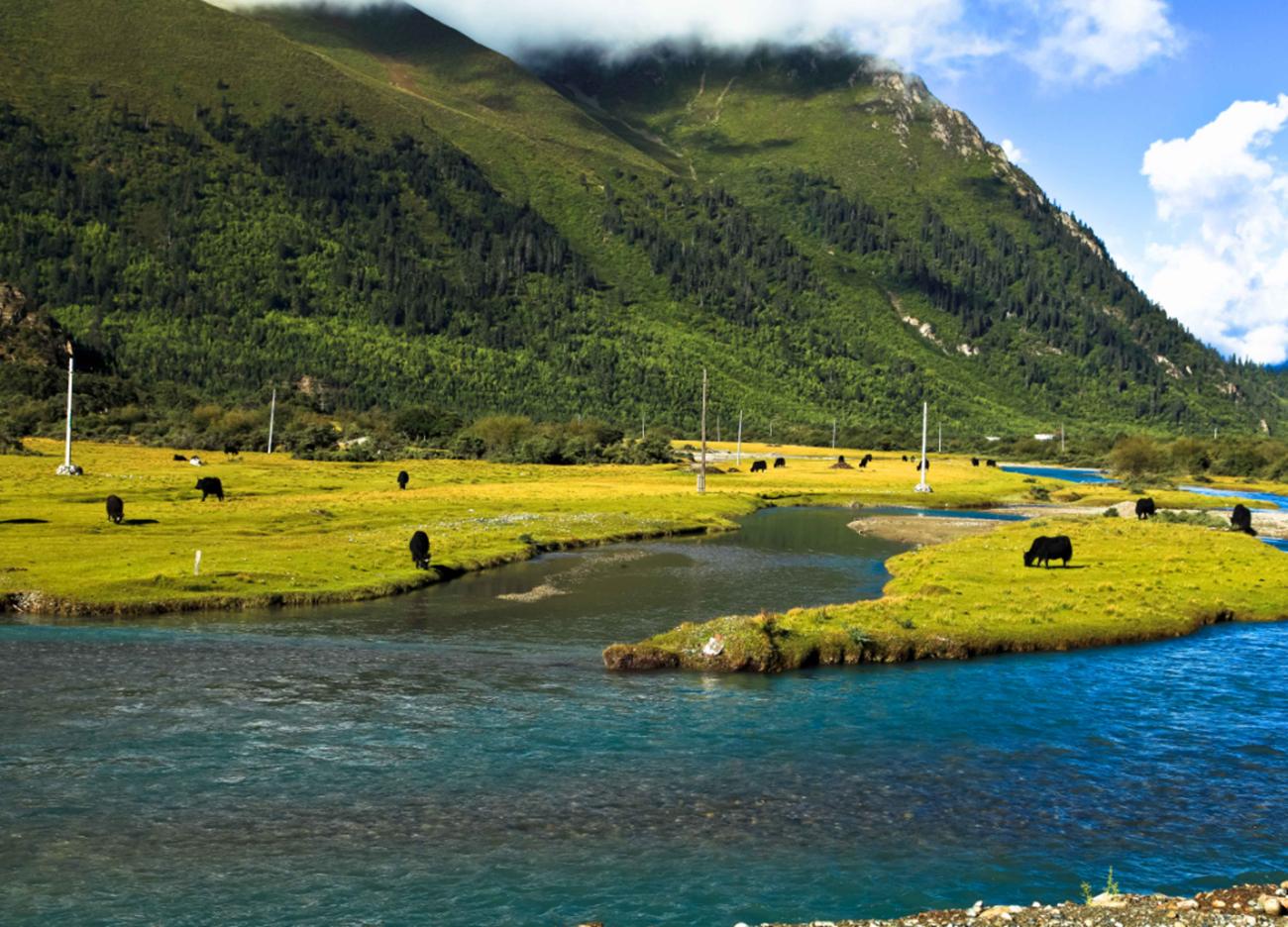 又一个重量级榜单公布，陕西科技大学荣获全国第七，陕西省第一