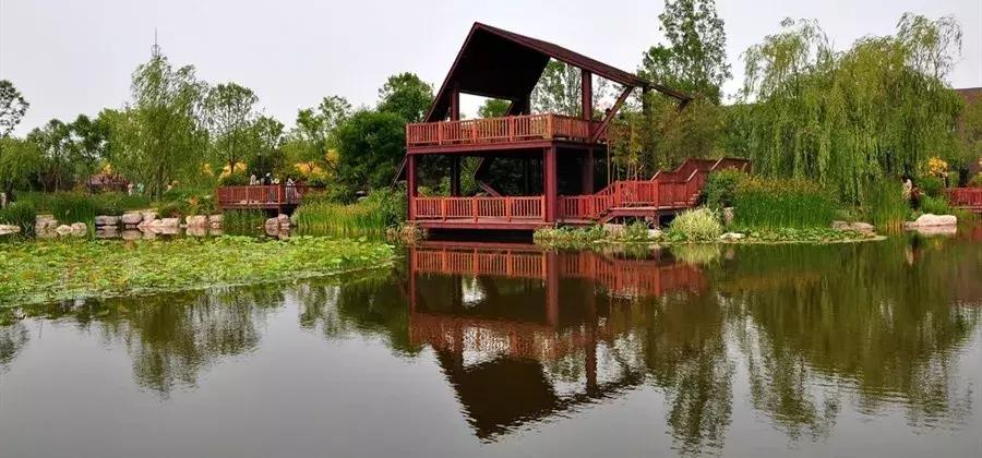 寸土寸金公园,天津值得一去的公园