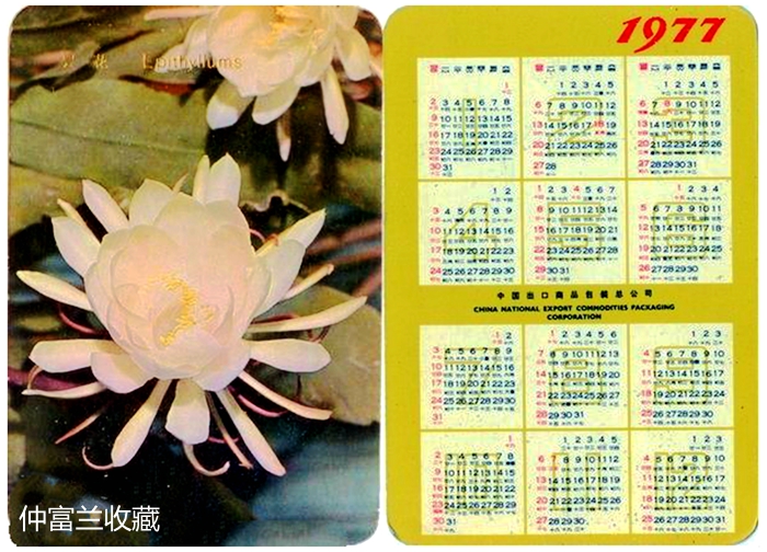 鍥介鍙ら煹鍥炬枃瑙嗛,鍥介闈為仐鍥剧墖鎺掔増