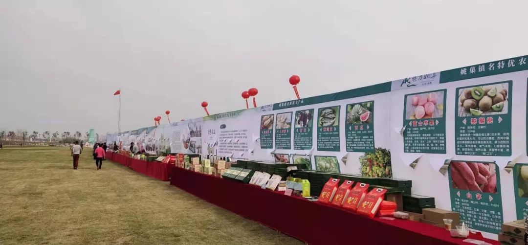 古黄河野钓连续三载成品牌赛事，睢宁县表示已申报大世界基尼斯