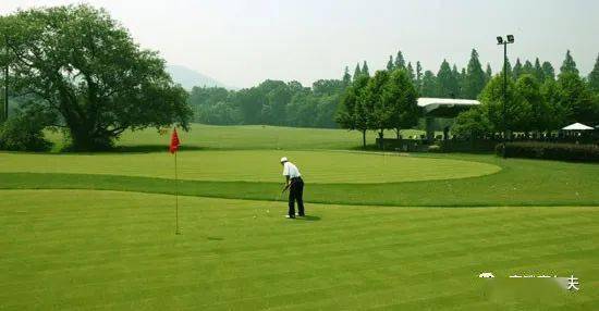 高尔夫的比赛规则,高尔夫术语ob是什么意思