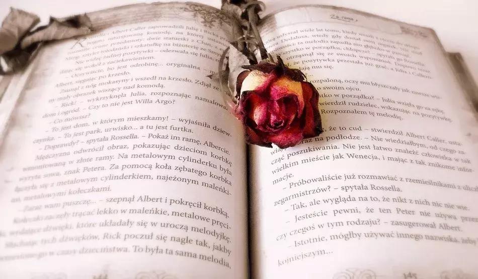 我知道了别说了用英语怎么说,我知道用英语怎么说idontknow