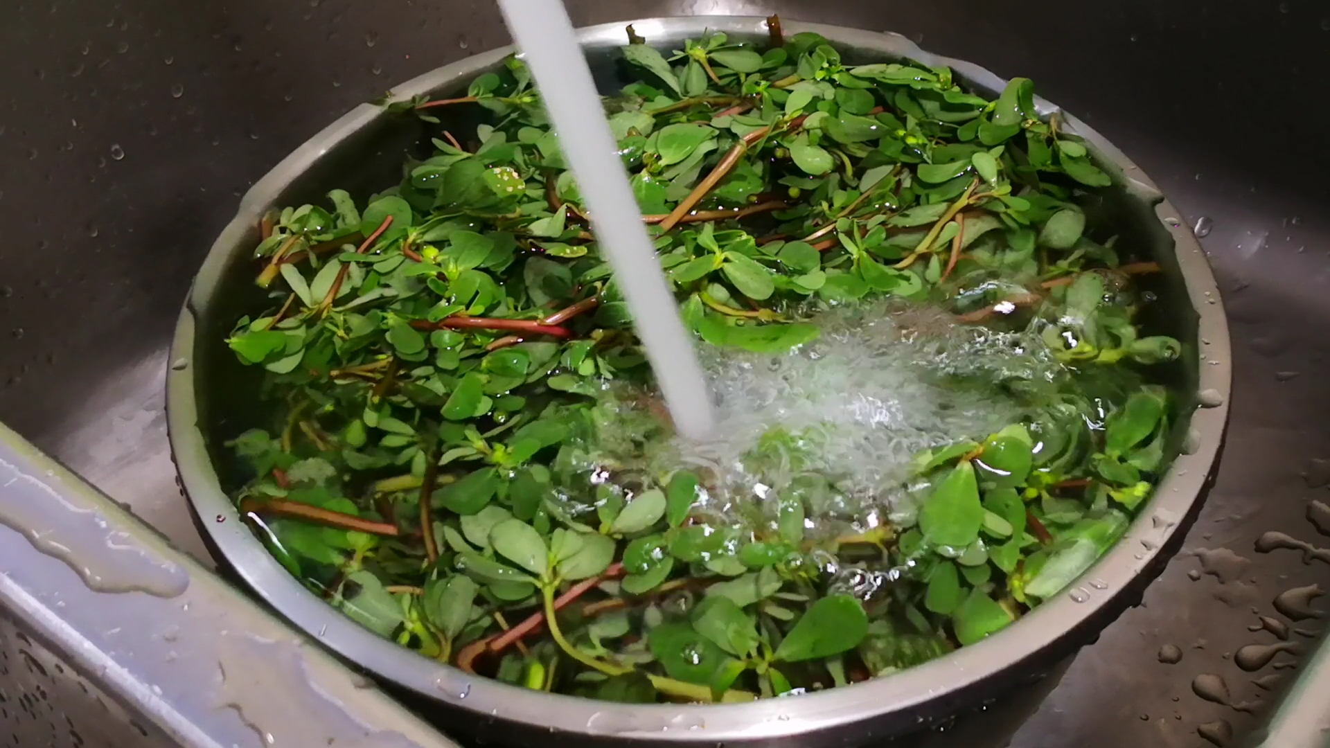 怎么蒸马齿苋好吃窍门,蒸的马齿苋好吃吗