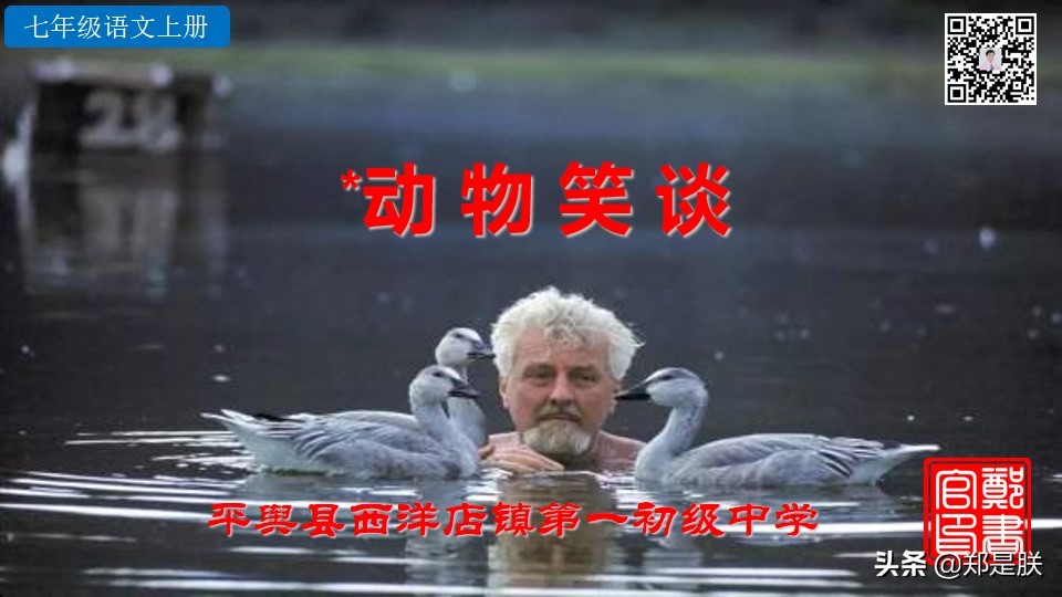 七上人教版第十七课动物笑谈课件,七上语文动物笑谈