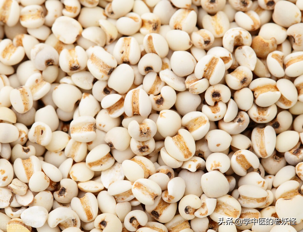 复方薏苡仁配方,薏苡仁为君药