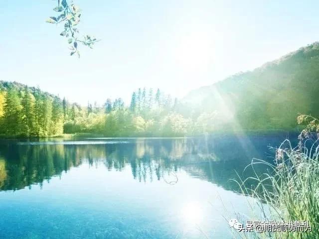 期货模拟与期货交易策略,期货高手的操作策略