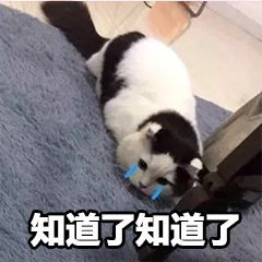 干粉祛痘印,冷冻干粉能去痘印吗