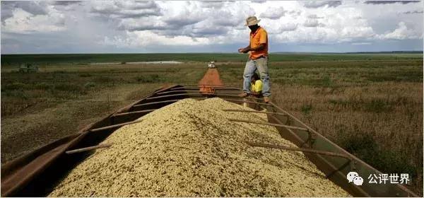 一只蝴蝶扇动翅膀引发龙卷风,南美洲的蝴蝶扇动翅膀引起龙卷风