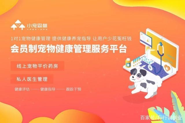 专访小宠森林创始人薛宝军：“它经济”时代，做宠物的健康管家