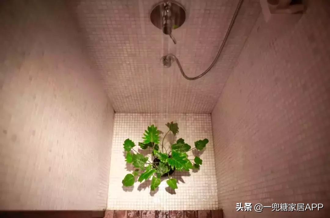 你离精美卫浴装修只差这一篇攻略,高级感卫浴改造指南