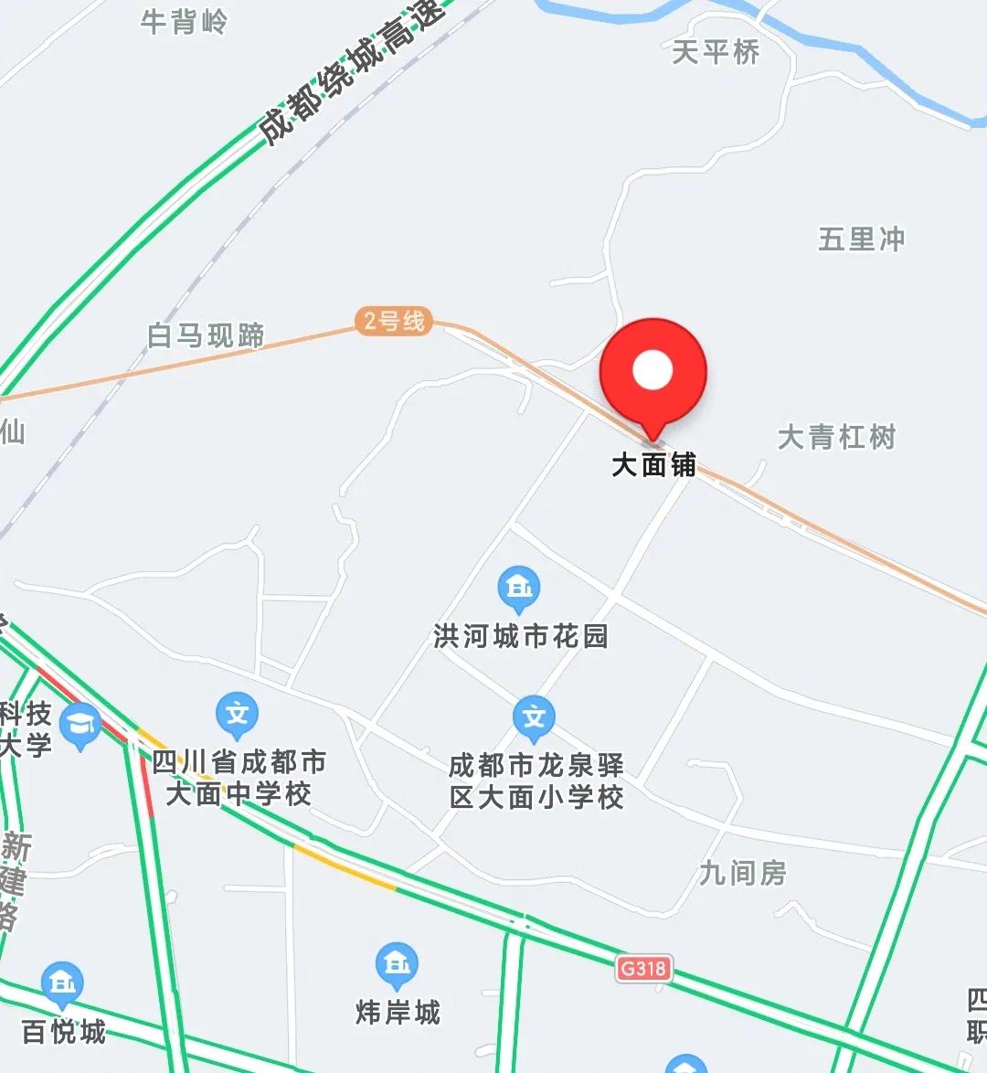 在成都现在买房有前景吗,成都30万的房子怎么买划算