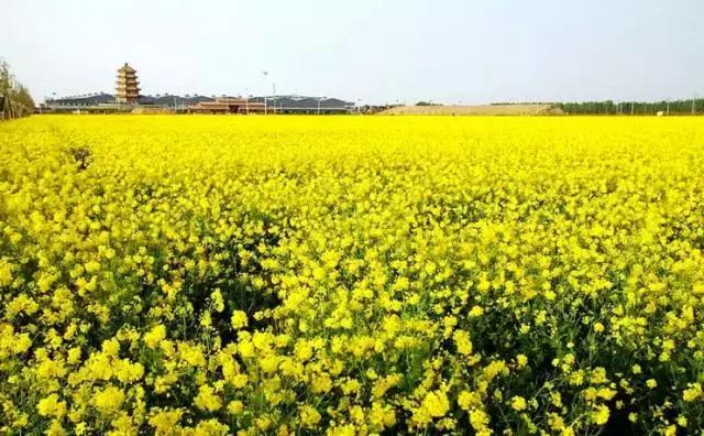 天津旅游必去十大景点天津美食,天津旅游攻略必玩的景点小吃