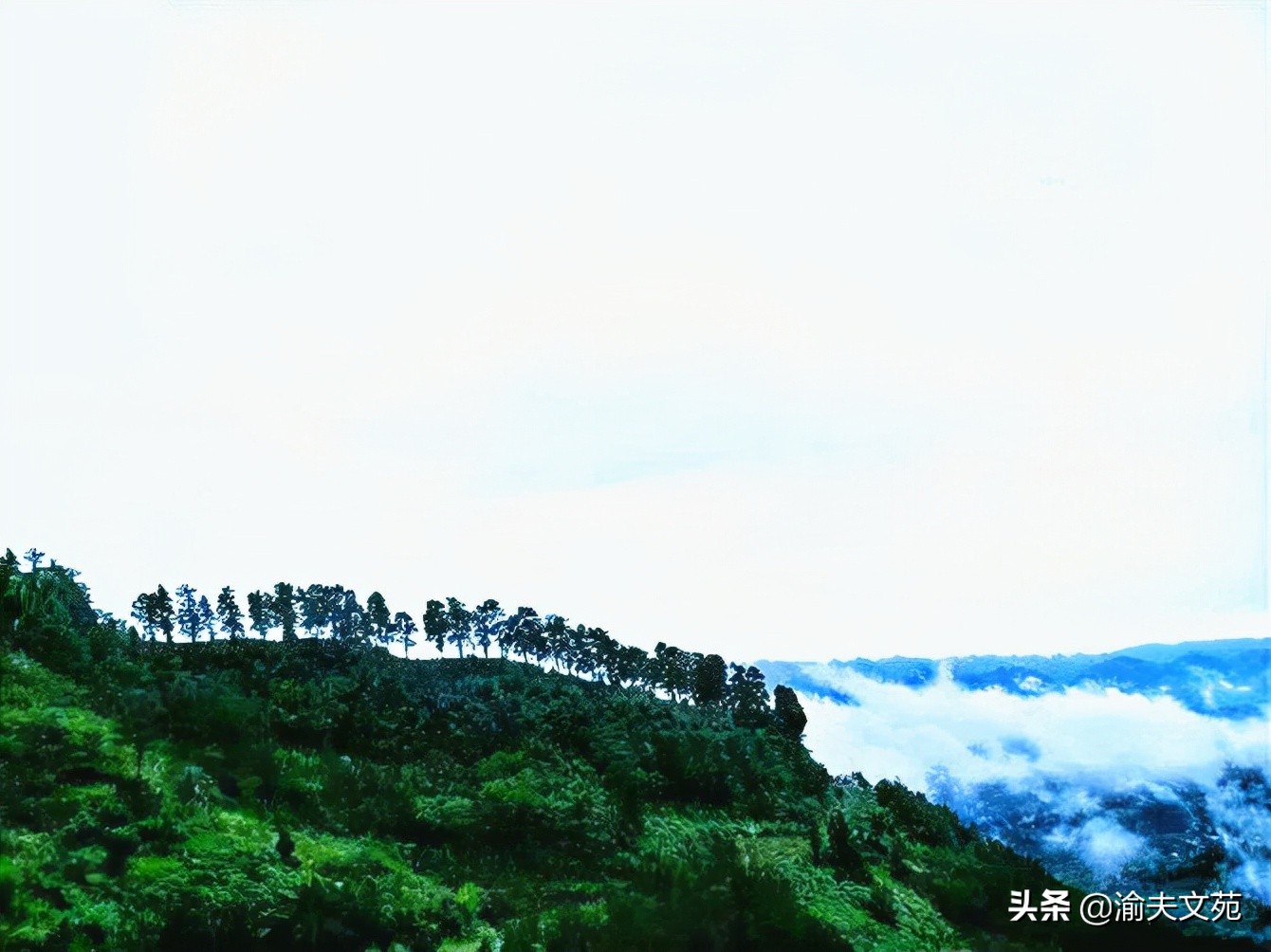 「散文随笔」听课笔记01:小张老师的音乐课