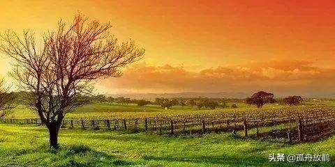 韩系车质量到底咋样起亚kx3傲跑,起亚奕跑车质量怎样