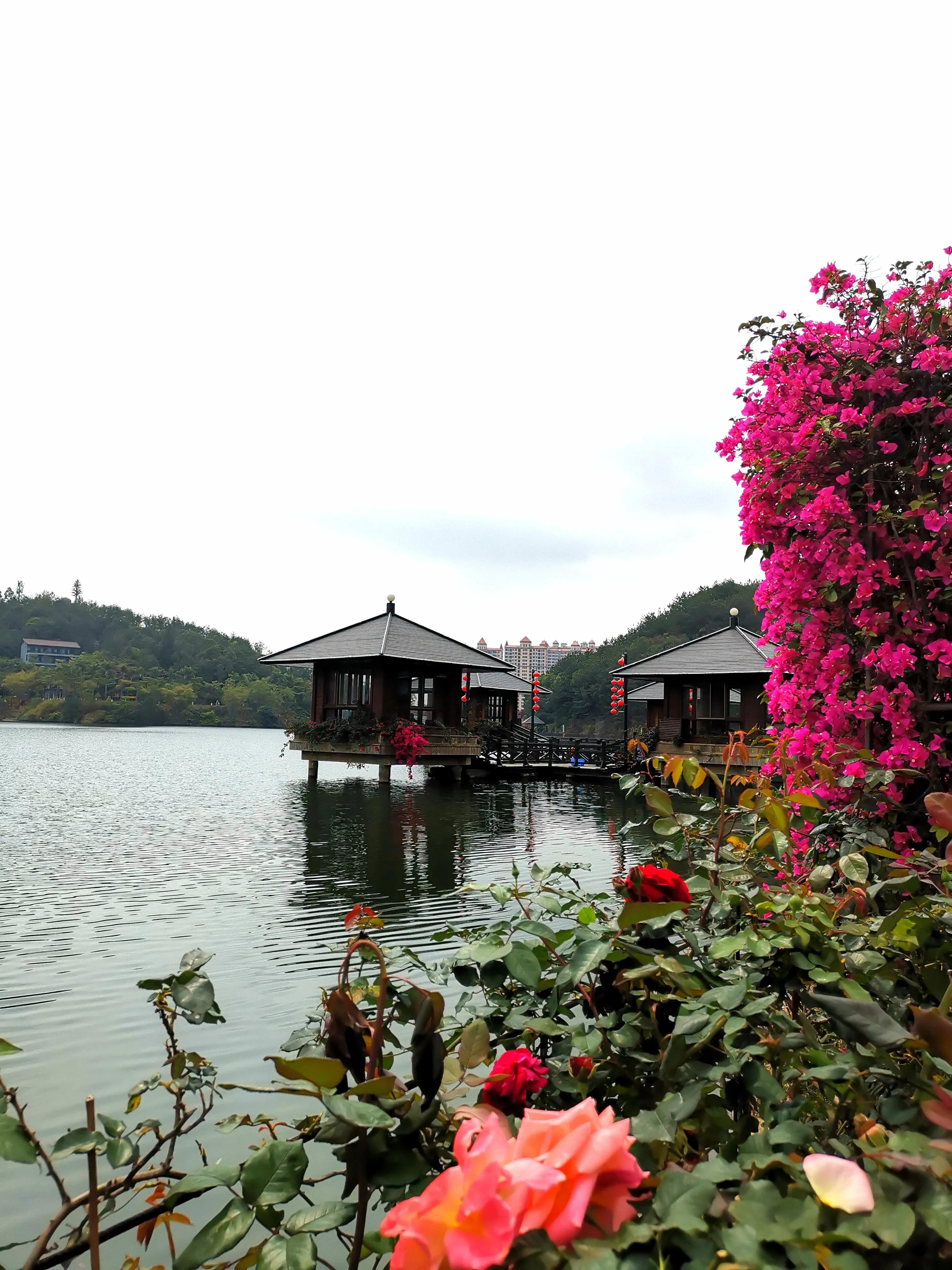 濮戝珎鏃呰璁板綍,濮戝珎鏃呰鏃ヨ