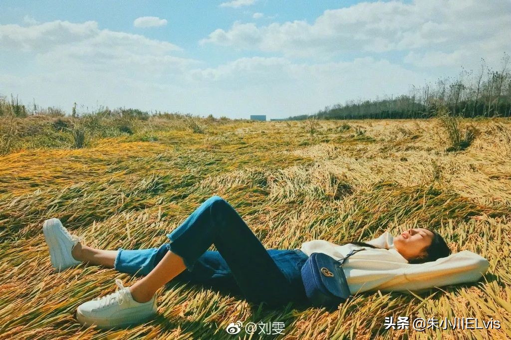 刘雯coach服装,刘雯终止与coach合作会赔多少钱