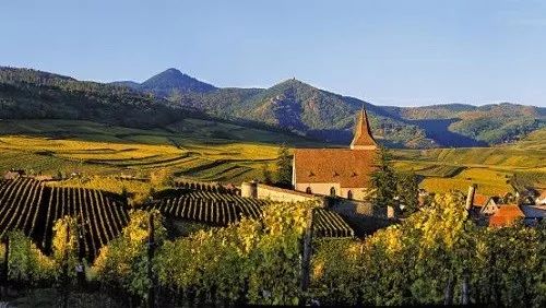 法国葡萄酒产区位于北纬多少度,法国葡萄酒产区burgundy