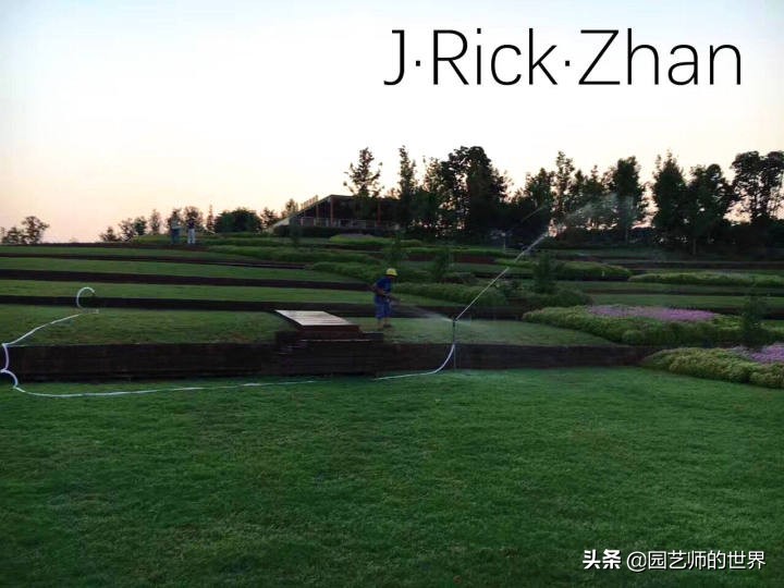 果岭草坪的种植养护方法及技巧,怎么种植一个可以躺的草坪