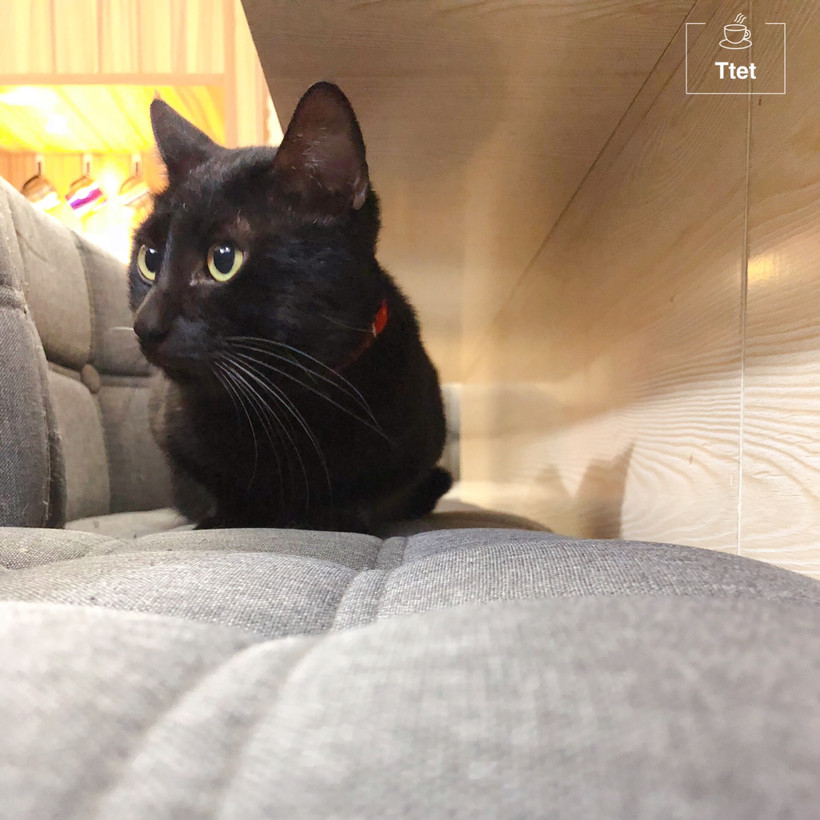 汕头|生存技能很多种,匠心制作咖啡一杯,为的就是等知心人