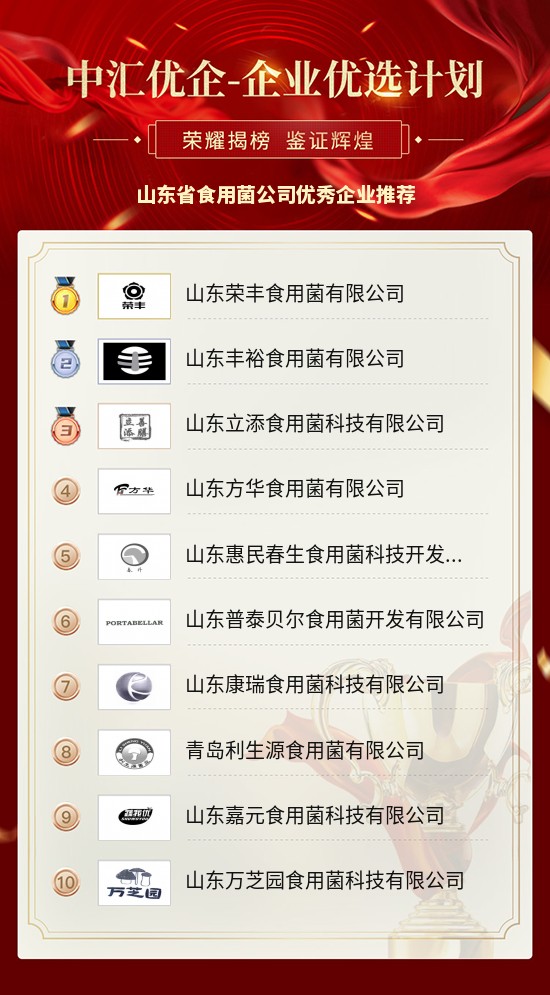 食用菌公司十大排名,山东高产食用菌厂家直销