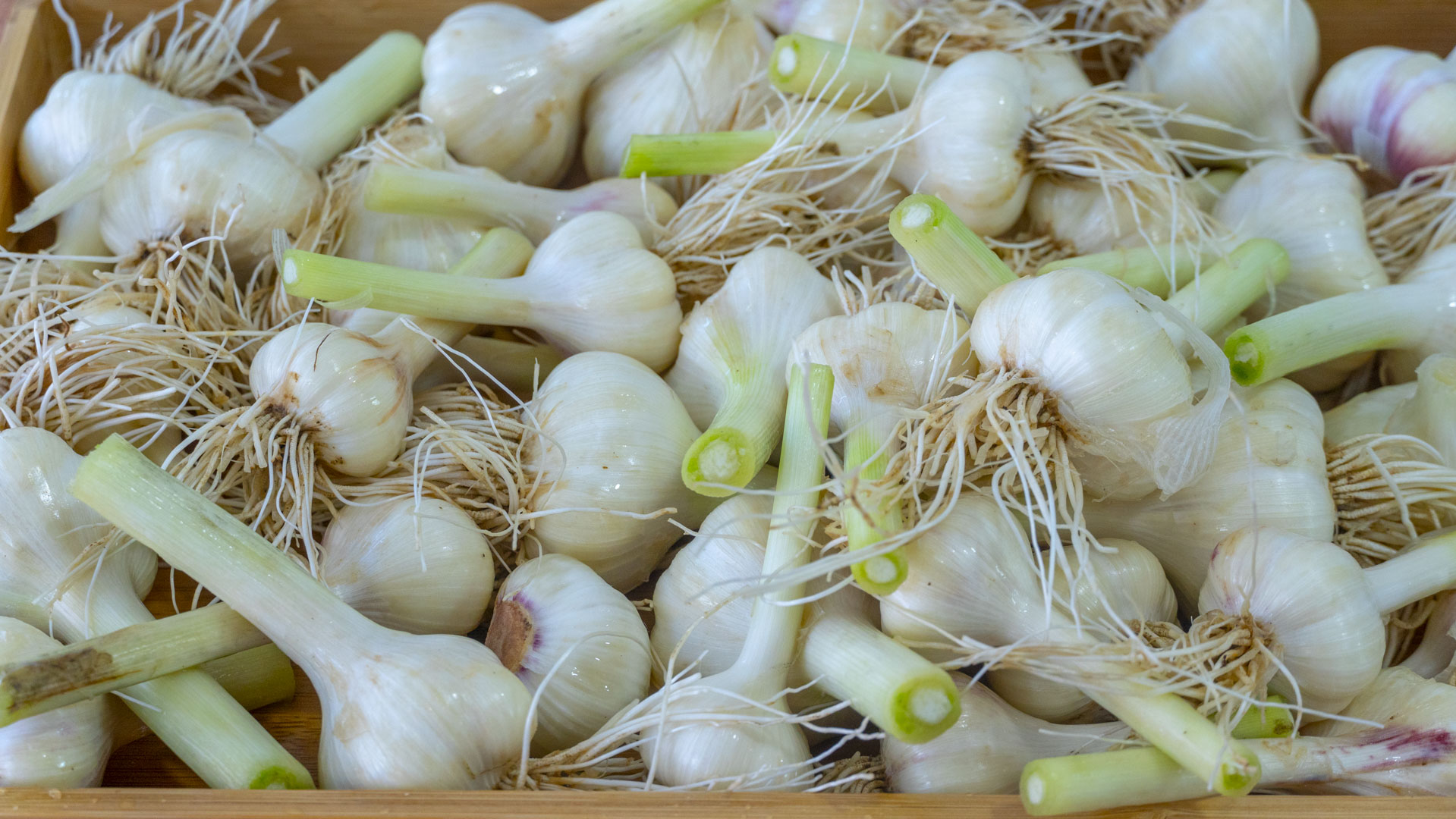 消除体内湿热的食疗方法,夏天湿热吃什么食物最好
