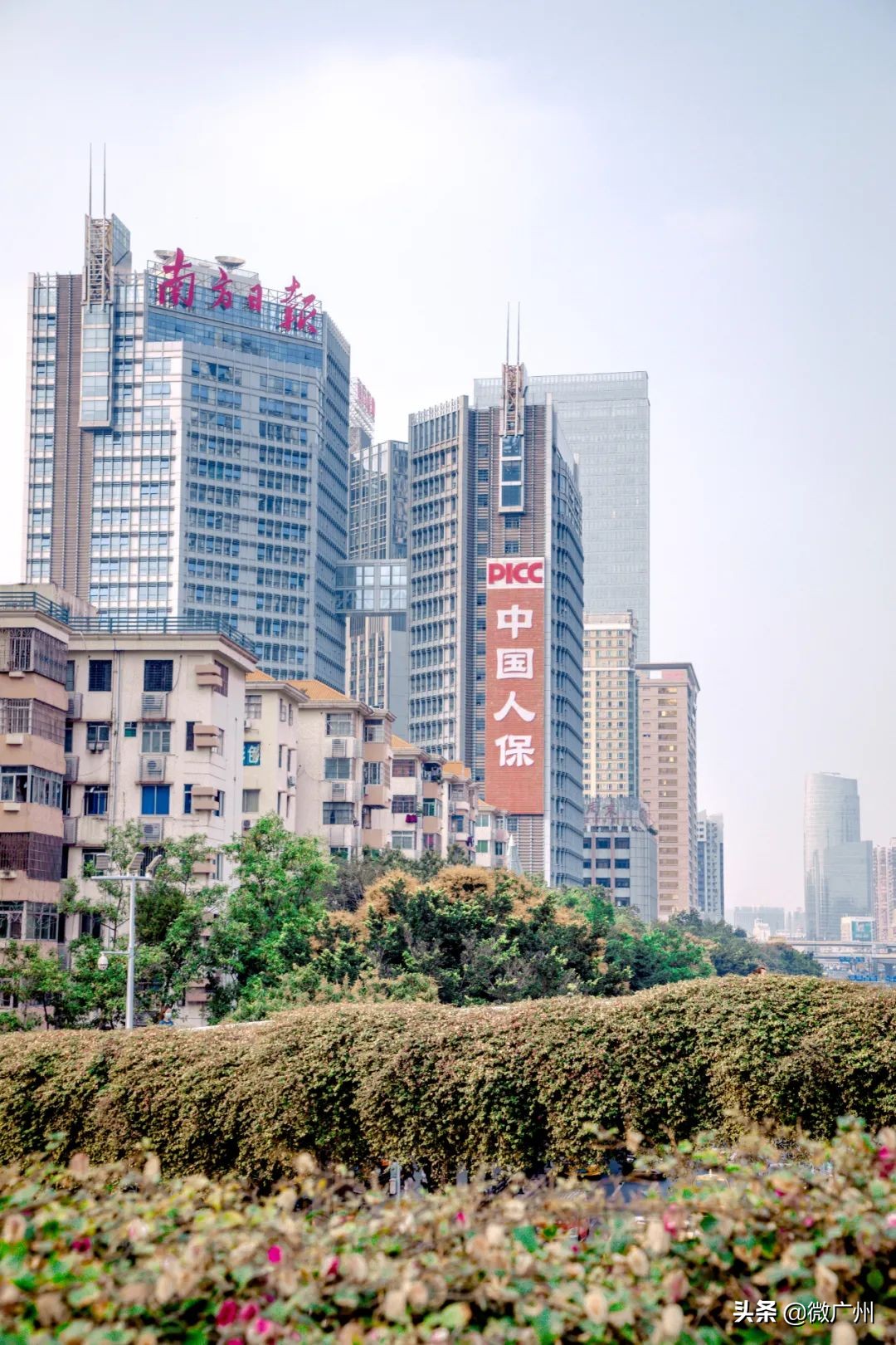 广州五羊邨富人区,广州被遗忘的荒村