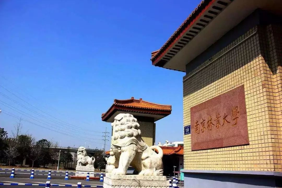 21所理工211高校58个王牌专业,实力雄厚的211高校4所王牌专业