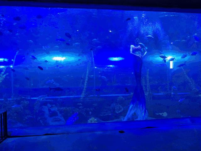 白鹿原白鹿仓景区冰雕,白鹿仓冰雕