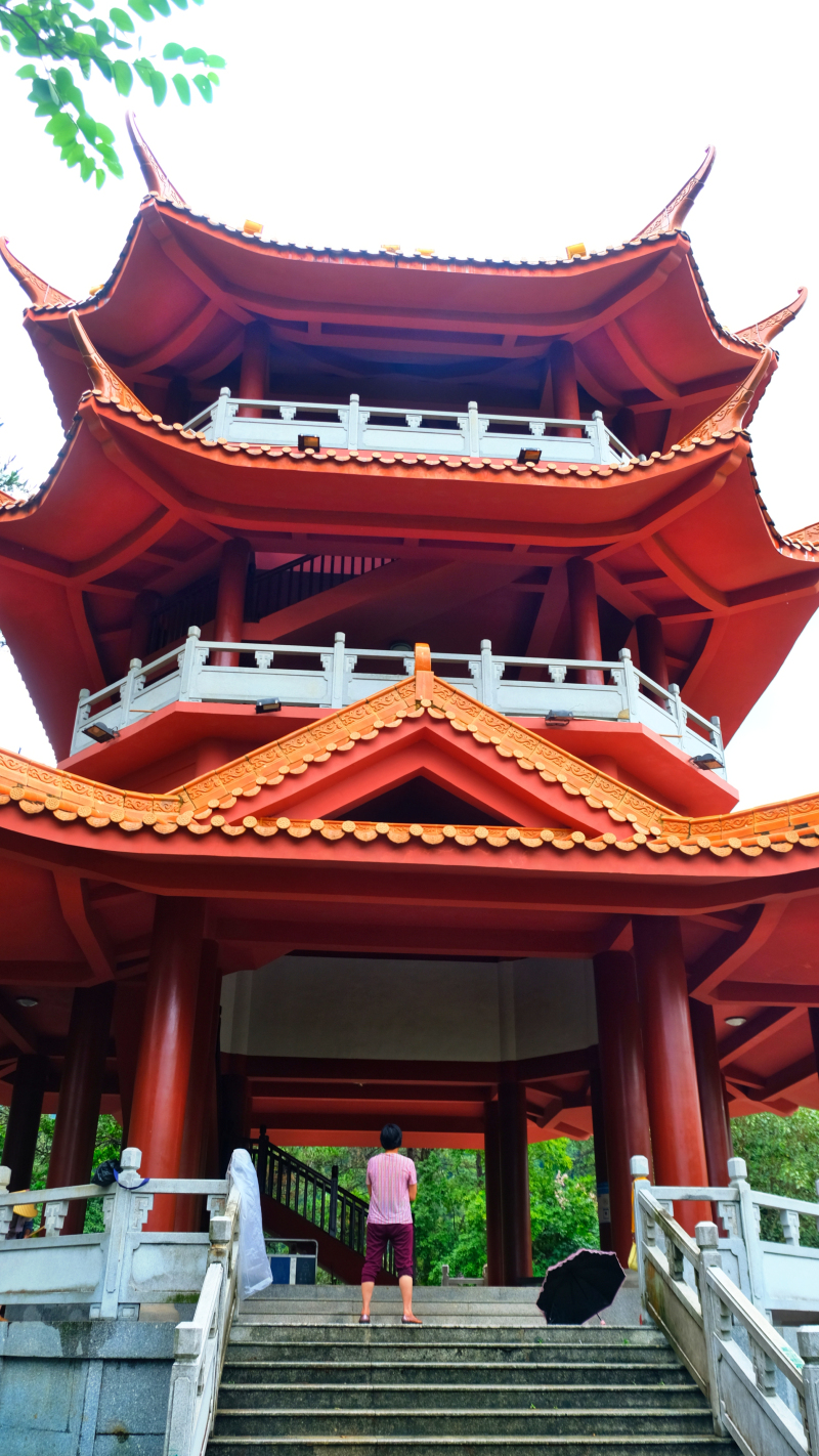 云浮南山森林公园锦鸡,云浮南山森林公园航拍