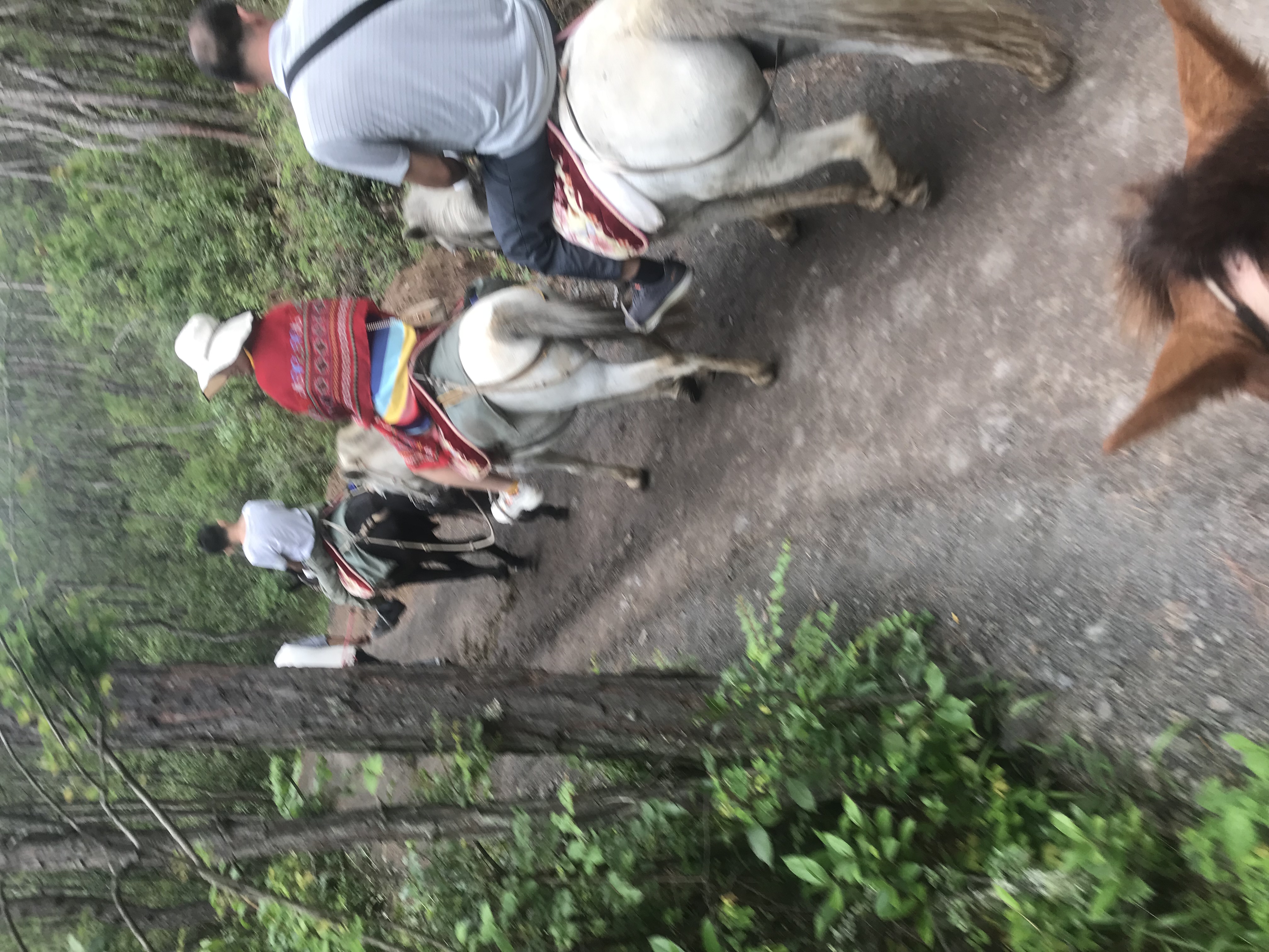 网上低价旅游团靠谱吗,网上低价旅行团