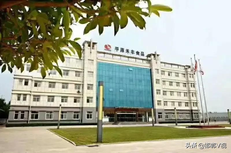 临漳县平原禾丰今年招工人吗,临漳禾丰食品厂招工