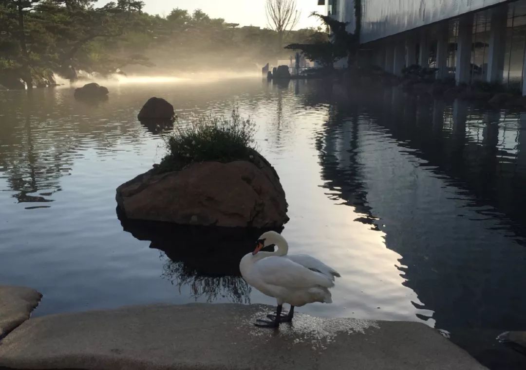 品牌公关是做什么的呢,品牌公关营销案例