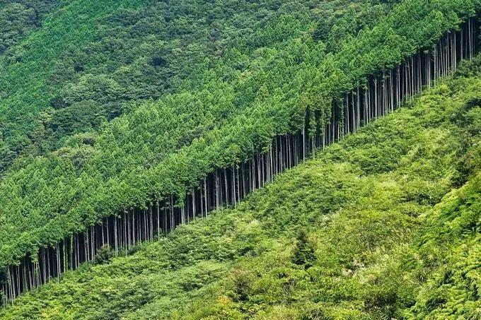 双节星空摄影作品欣赏,一组美丽的星空摄影作品