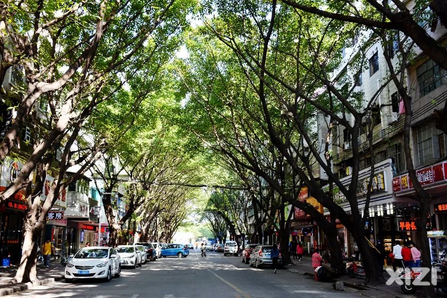 美丽鹅城,最美鹅城