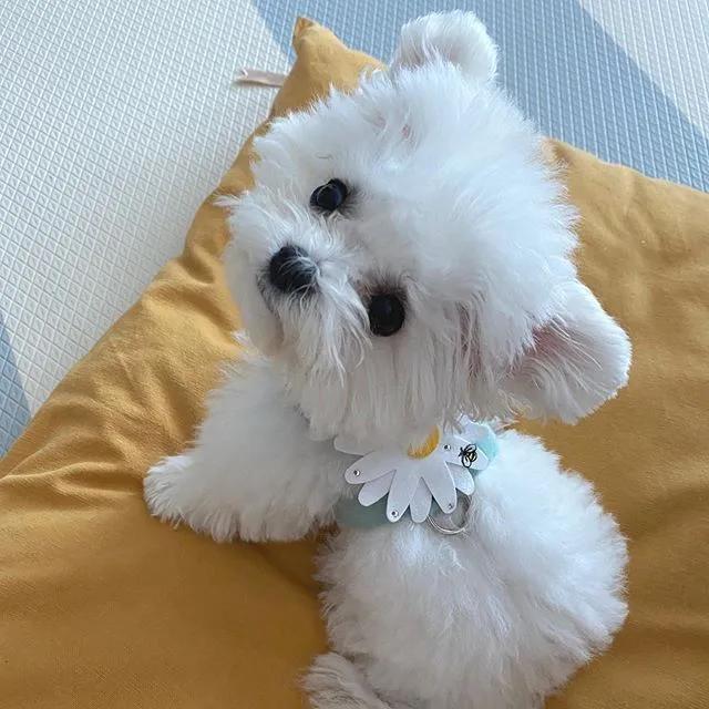 拿什么方式减压,有什么最好的减压方法