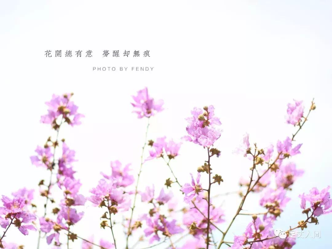 观澜版画村,观澜版画村生态艺术研学基地