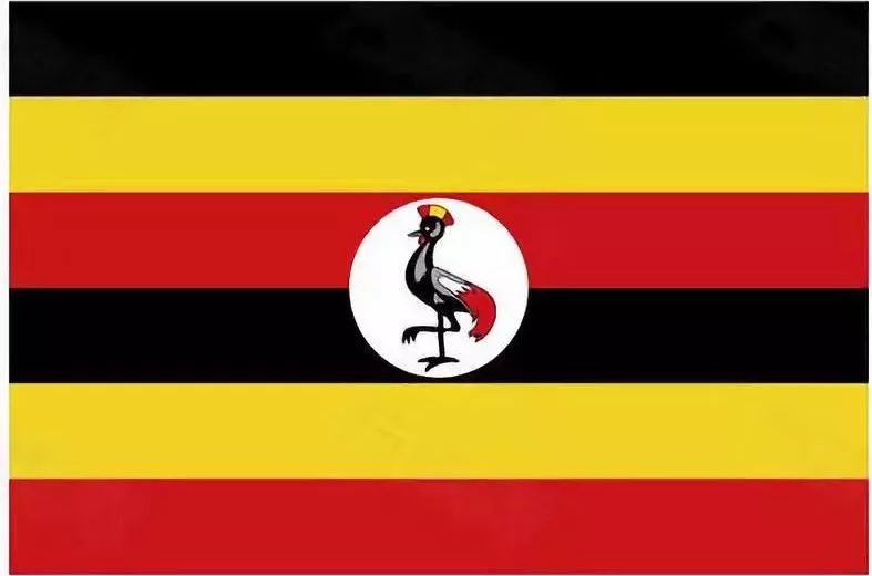 非洲国家签证指南，迈出向非洲旅游的第一步