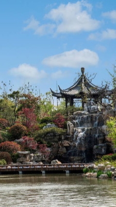 临颖千亩湖游览攻略,临颍千亩湖游记