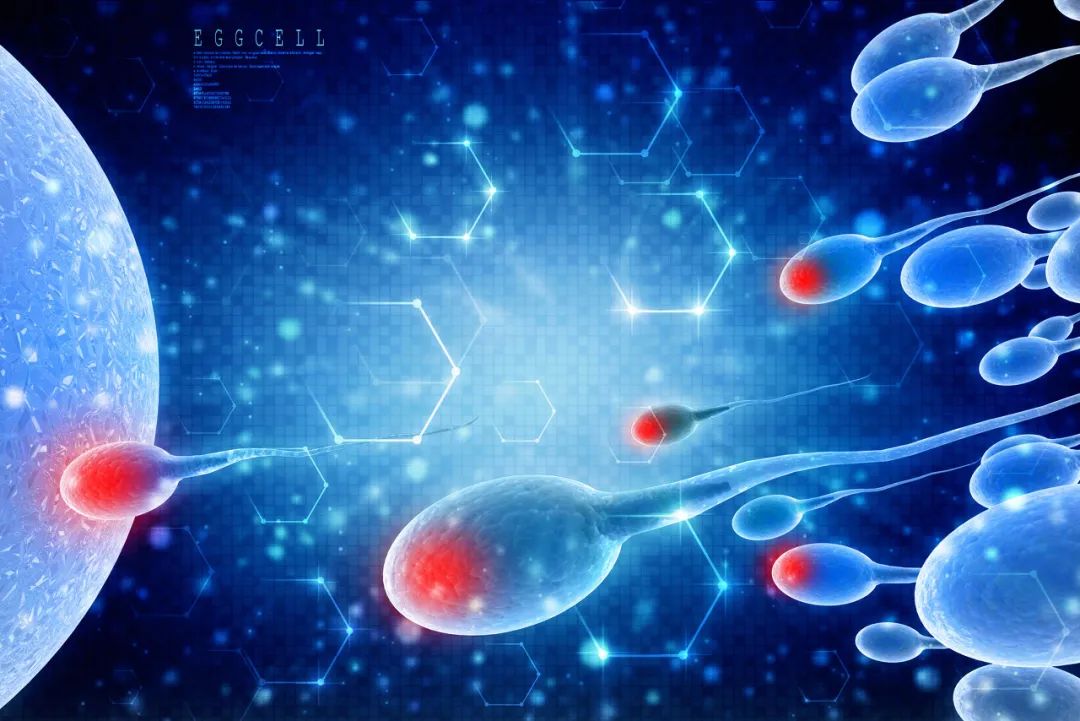 为什么男人那么多,全球精子库还会告急?