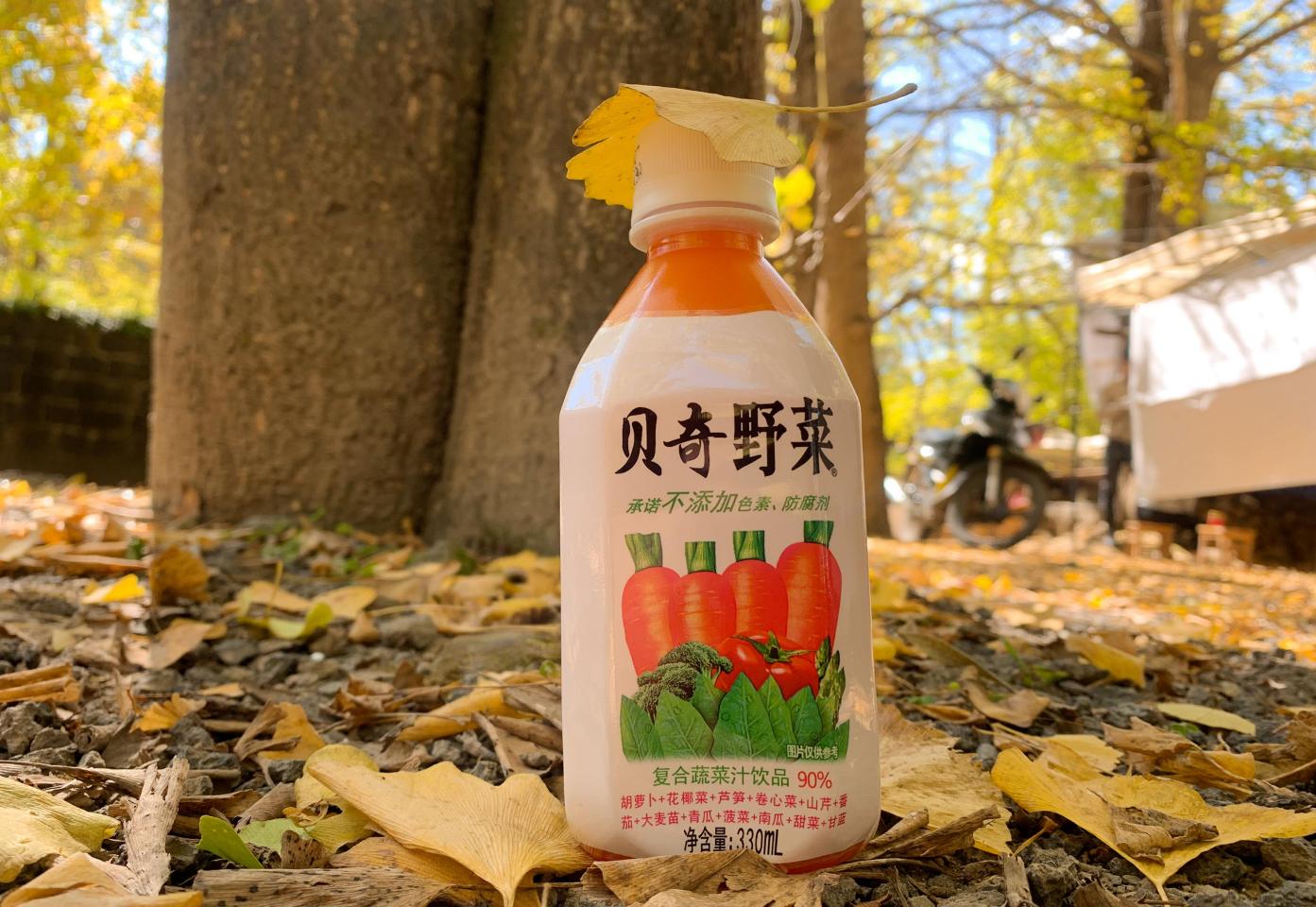 遇见腾冲，银杏叶飘洒，落在贝奇野菜瓶上，不添加的自然