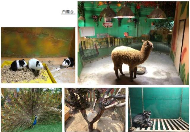 西安白鹿仓欢乐世界,西安曲江极地海洋馆旅游攻略