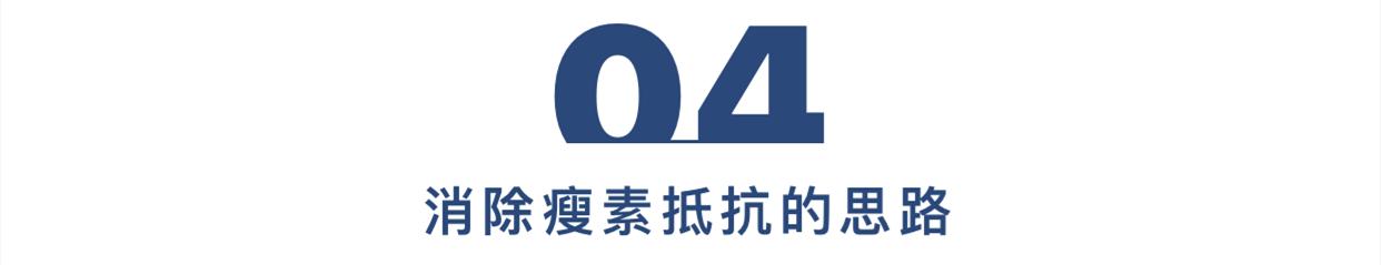 瘦素,LEPTIN-全身能量平衡调控肽